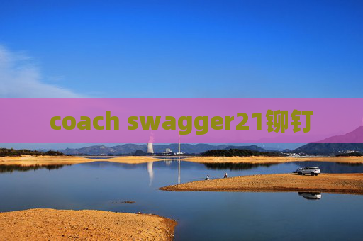 coach swagger21铆钉